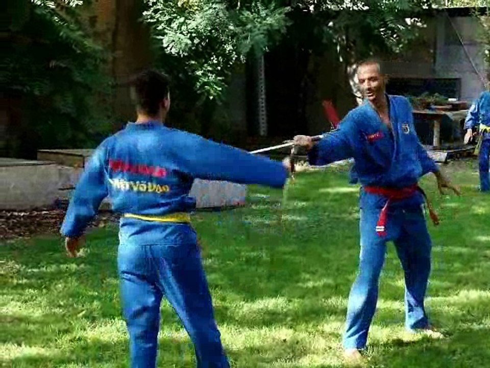 MARTESANA SPORT DAYS 2017 A GORLA (ARTI MARZIALI VIETNAMITE)