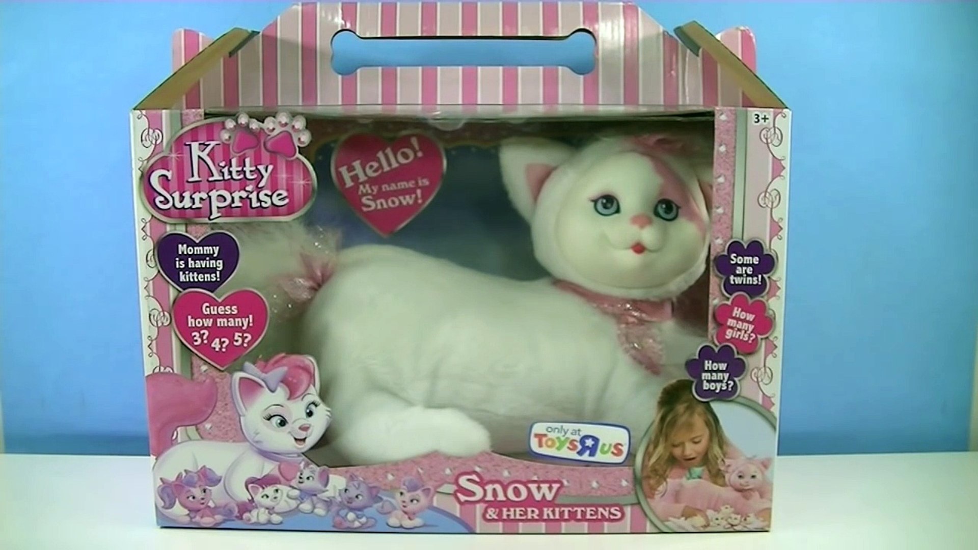 kitty surprise snow