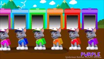 Rokky Paw Patrol Jumping on the Bed - Five Little Monkeys Jumping on the Bed Nursery Rhymes w Rokky
