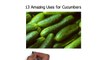 Cucumber Benefits, Cucumber Nutrition, Health Benefits of Cucumber, Cucumber Health Benefits Fs