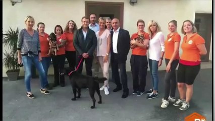 Emmanuel Macron se comporte comme "un gosse" selon l'Elysée