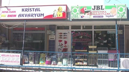 Girişimci Kadınlar - Önce İş Hayatına Atıldı, Sonra Mahallenin Sorunlarına El Attı