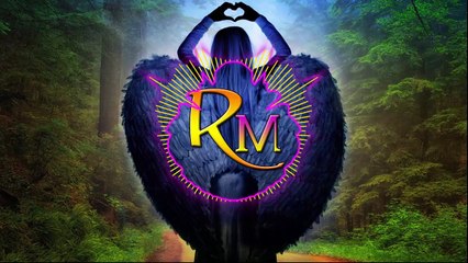 Best Of EDM : Elektronomia - Disco Boy [ No Copyright Music - Remix Music ]