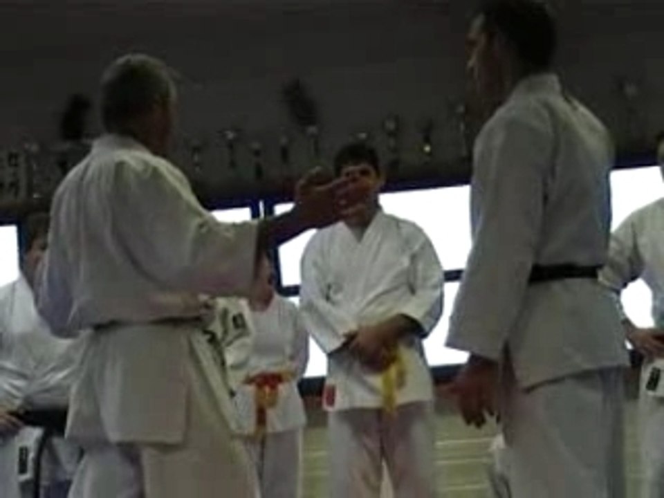 stage federal karate jutsu.