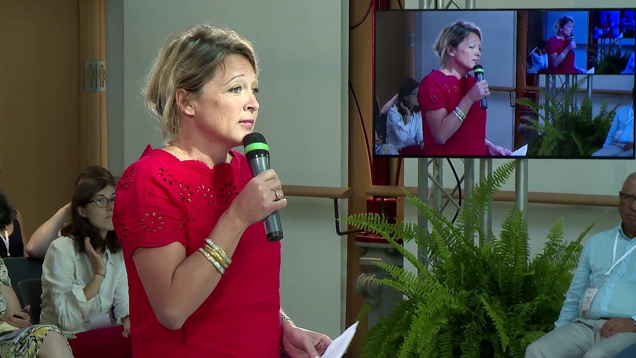 Mini conférence 2 : Capacité et concertation ?