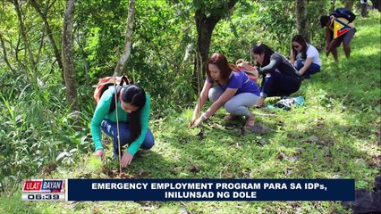 Emergency Employment Program para sa IDPs, inilunsad ng DOLE