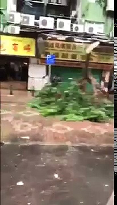 [URGENTE] Moradora grava o furacão Talim chegando na China