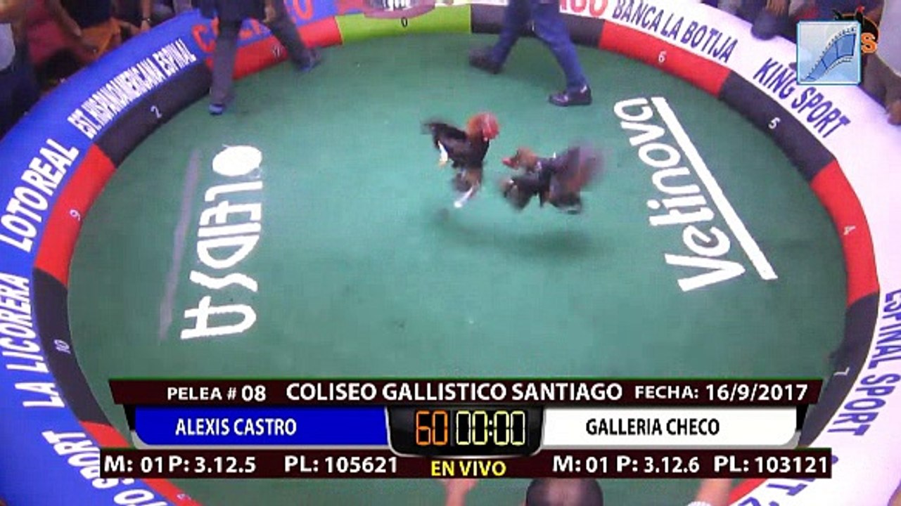 NO LLEVAMOS AL PRESIDENTE EN LA PATA DE LOS CABALLOS AYER