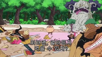 [Onepiece 805 최신편] 망신창이가 된 상디를 치료하는 레이쥬　원피스 805화
