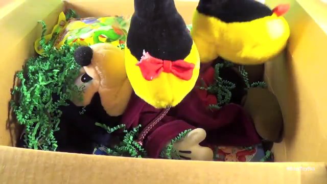Whats Inside the MYSTERY BOX from New Mexico?? by Bins Toy Bin