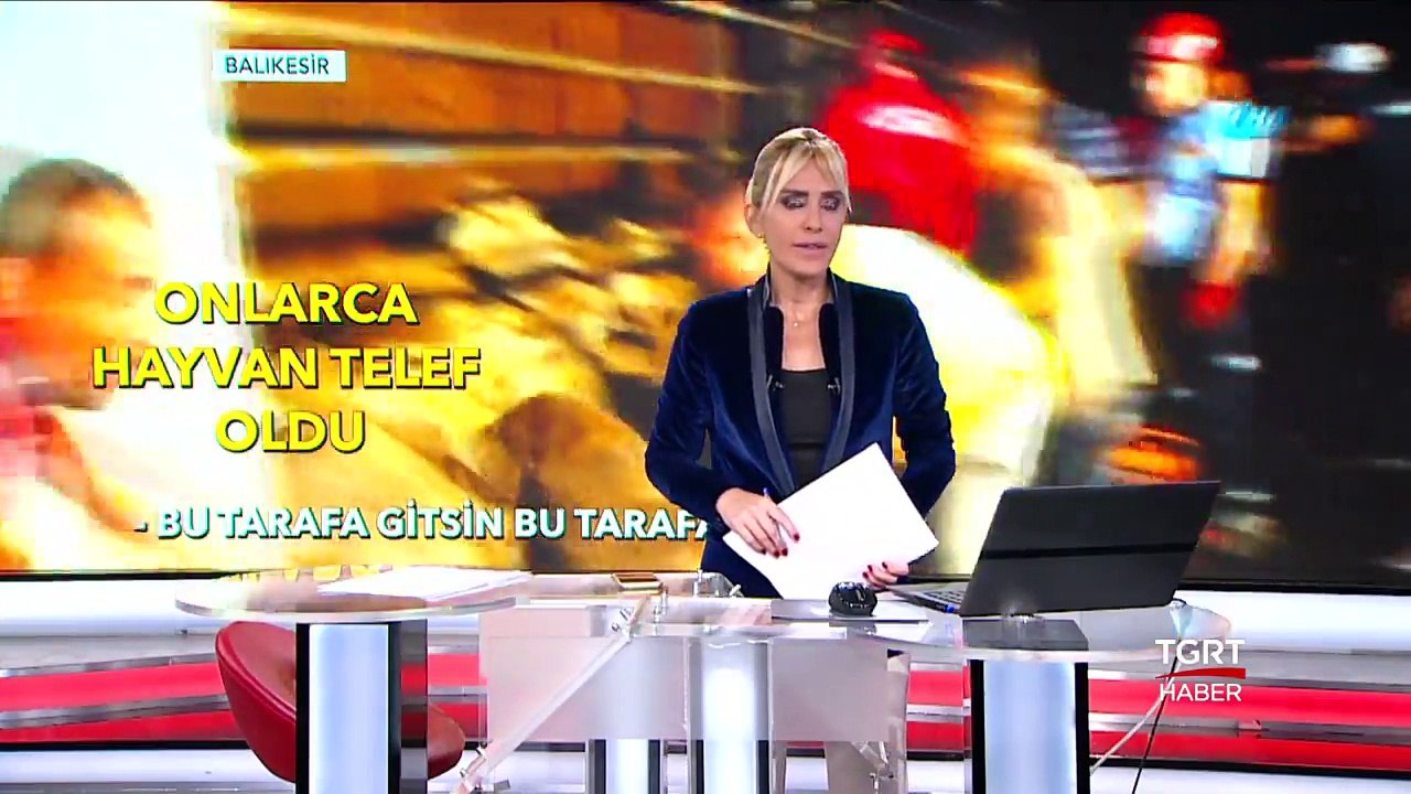 Onlarca Hayvan Telef Oldu!