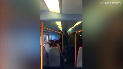 Reading FC fans 'set off smoke bomb' on a packed train
