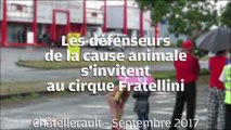 VIDEO. Châtellerault: les défenseurs de la cause animale manifestent au cirque Fratellini