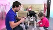 Attaques pour enfants Princesse jouets enfants pour chien de sauvetage fille pleure vidéo Rapun