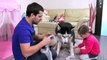 Attaques pour enfants Princesse jouets enfants pour chien de sauvetage fille pleure vidéo Rapun