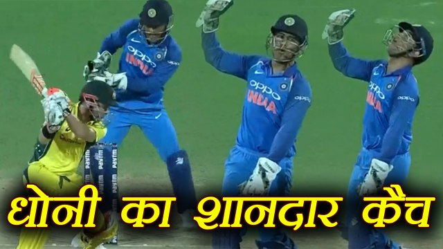 India Vs Australia 1st ODI: MS Dhoni takes a stunning catch of David Warner | वनइंडिया हिंदी