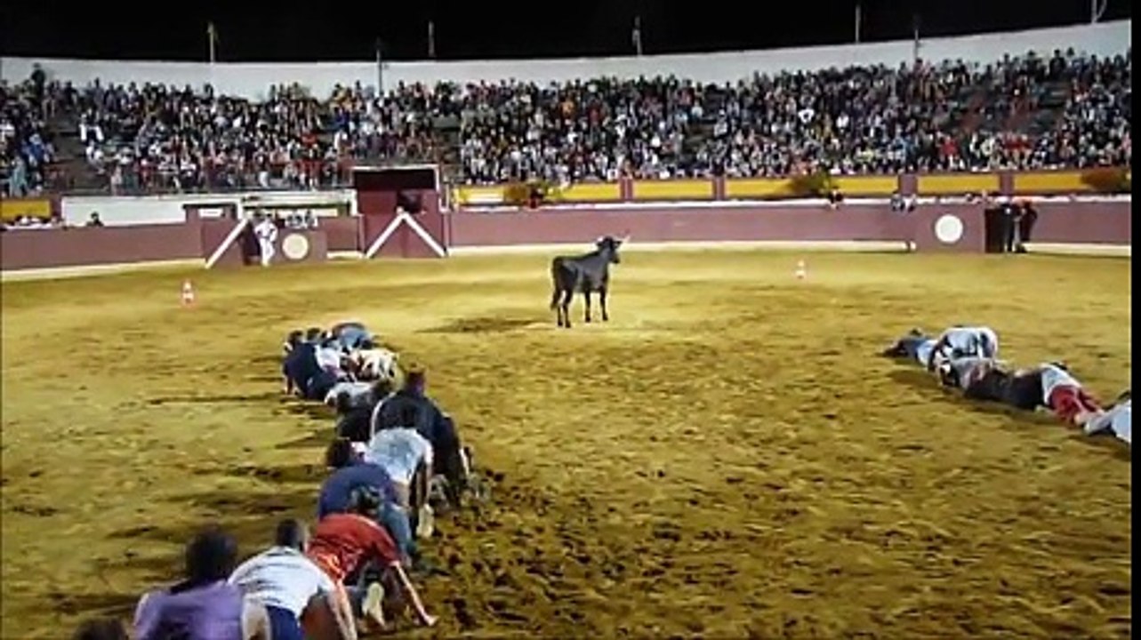 bullfighting