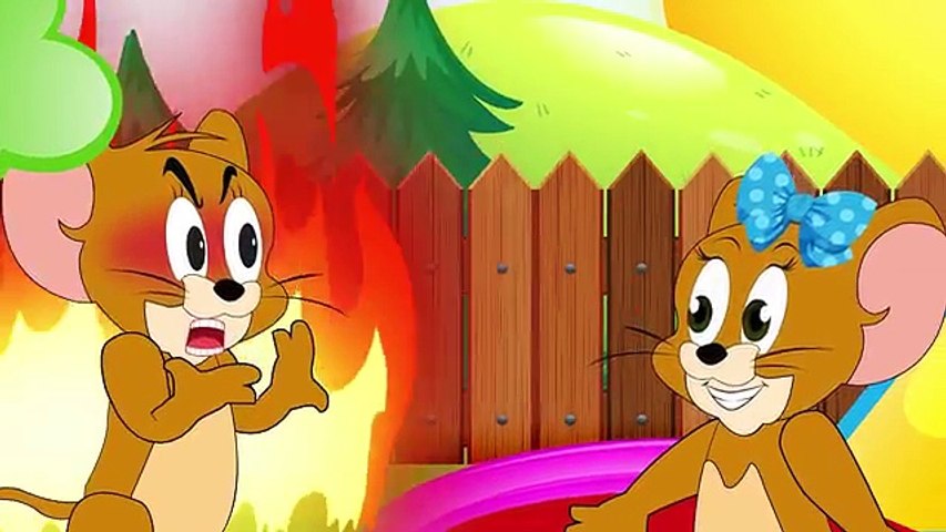 SNAKE TOM Tom and Jerry Full Episodes #Cartoon For Kid #Animation Movies  Baby #Disney Movie - Dailymotion Video