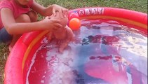 elif alişi havuzda yüzdürüyor ama su soğuk aliş üşüyor eğlenceli çocuk videosu