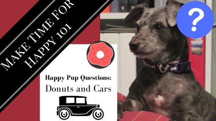 Happy Pup Answers Questions Donuts and Cars