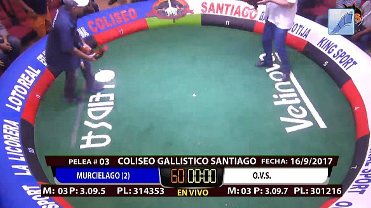 Video_1505581267[1]