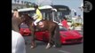 Cheval VS Ferrari - grand coup de sabot dans la voiture