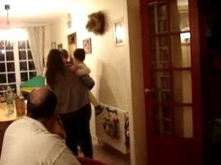 les crocodiles avec les copains