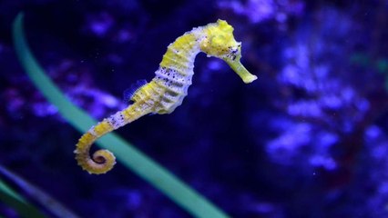 "Quisiera que esta imagen no existiera, pero ya que existe quiero que todo el mundo la vea"