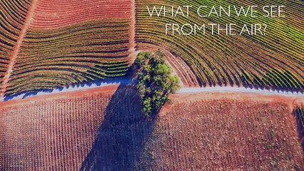 What Drone Photography Can Reveal From the Air