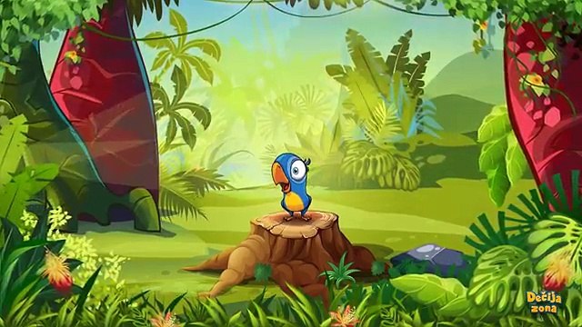 Majmunski Ples - Monkey Dance