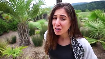 15 Essential Cleaning Tips & DIY Recipes!