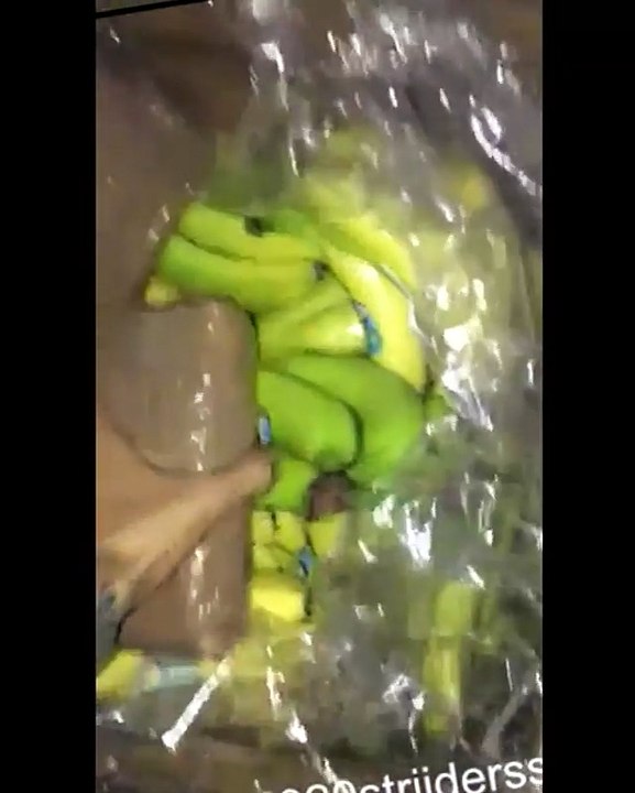 DIT is het echte verhaal achter de jongens die claimden cocaïne te vinden tussen bananen…