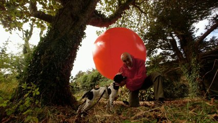 The Secrets of Quantum Physics: Let There Be Life (2 of 2)