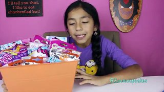 Monday Blind Bag Bin My Little Pony,MLP, LPS,Mi World,Hello Kitty,Despicable Me