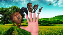 Horse Cartoon Learn Wild Animals Finger Family Horse Nursery Rhymes Dinosaurs Fighting Horse Rhymes , Movies comedy action tv series 2018 part 1/2