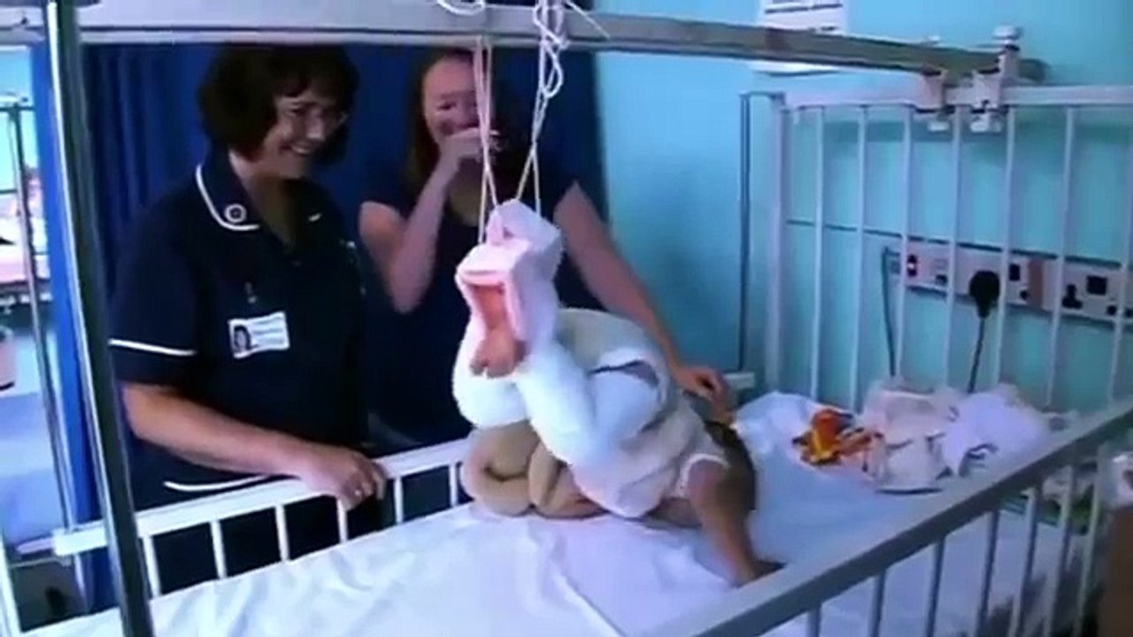 Golden retriever puppy with severe hip dysplasia