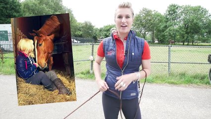 Jack ontmoet Matzy! + NIEUW YOUTUBE KANAAL!!! | PaardenpraatTV