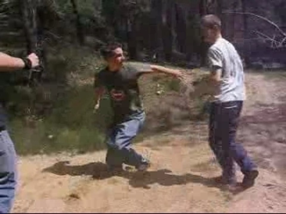 Cactus combat 2 Le retour