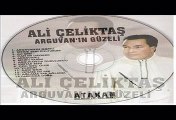 ALİ ÇELİKTAŞ - CANMI DAYANIR - UZUN HAVA