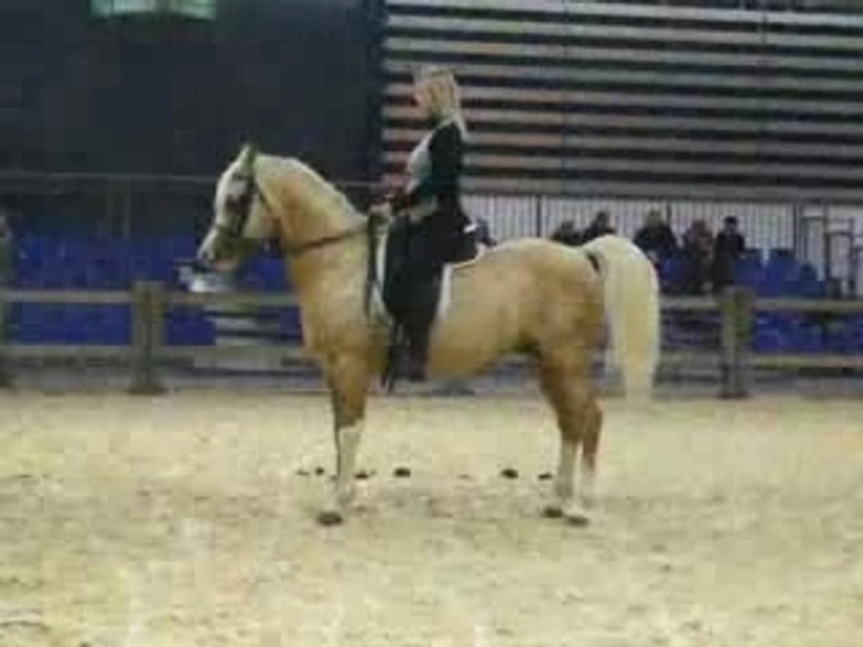 Equitalyon