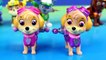 Nickelodeon Paw Patrol Limited Edition Action Pack Pups Metallic Series Marshall Chase Rocky Skye