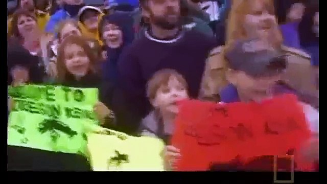 Amazing Orca Killer Whales In The Wild [Wild Ocean Documentary]