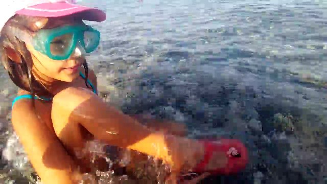 Denizde müthiş sualtı görüntüleri, Midye dağı deniz kestanesi balıklar