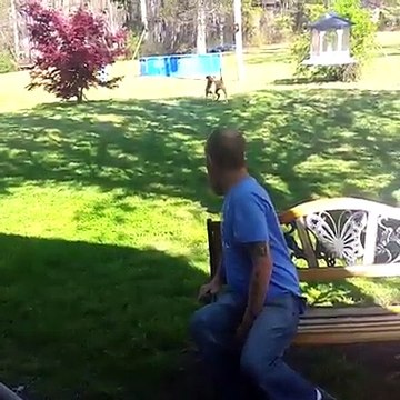 Şişman adamın zayıflaması ve köpeği - acemikamera