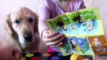 Киндер макси 2017 овечки распаковка золотистый ретривер Граф и Алиса Kinder Maxi toys unboxing kids