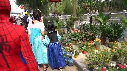 Nữ hoàng Elsa và người nhện