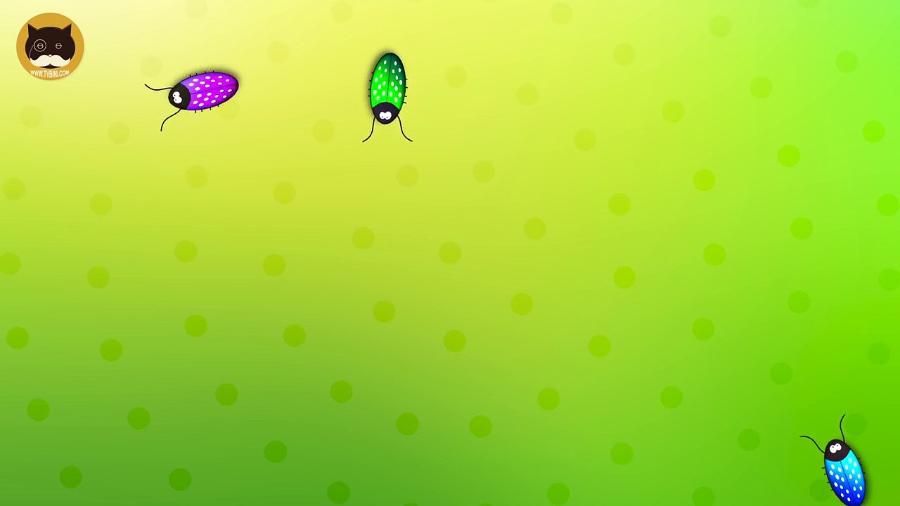 ENTERTAINMENT VIDEO FOR CATS. Cat Games - Catching Bugs.