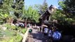 5 Weird Things in Critter Country at Disneyland Randomland
