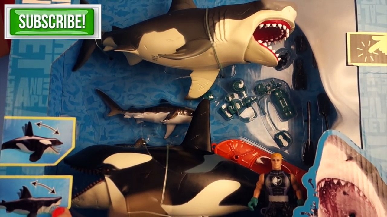 Shark Week! Animal Planet Mega Shark and Orca Encounter