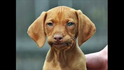 HATER JOINS THE iX CLAN!! // Diep.io Funny Moments // Maze Gameplay